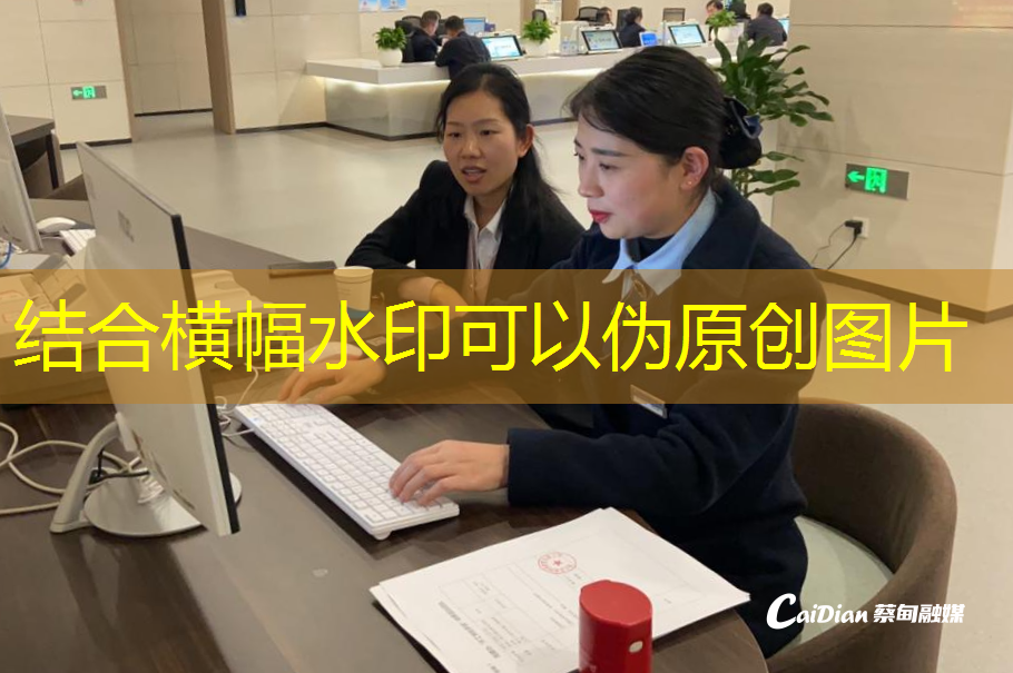 Optimize the business environment ｜ Cai Dian： ＂One -person handling＂ efficiency and innovation service is praised